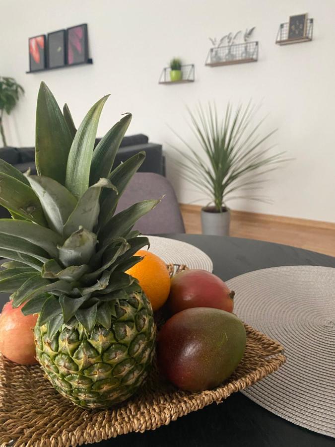 Penthouse West S Daire Varaždin Dış mekan fotoğraf
