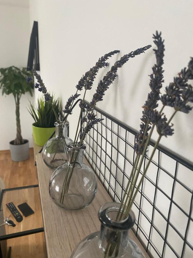 Penthouse West S Daire Varaždin Dış mekan fotoğraf